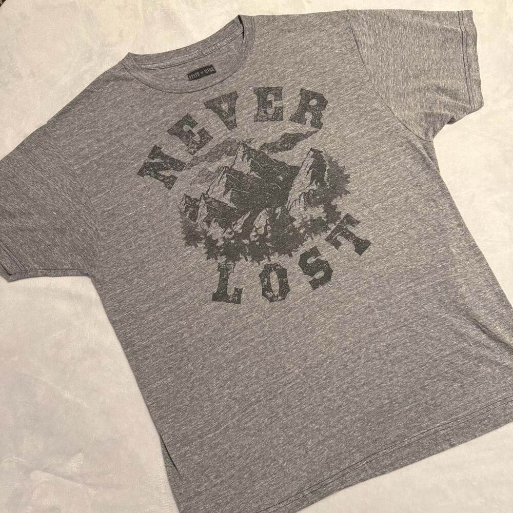 State of Mine Never Lost Mountain Graphic T-Shirt Gray Large